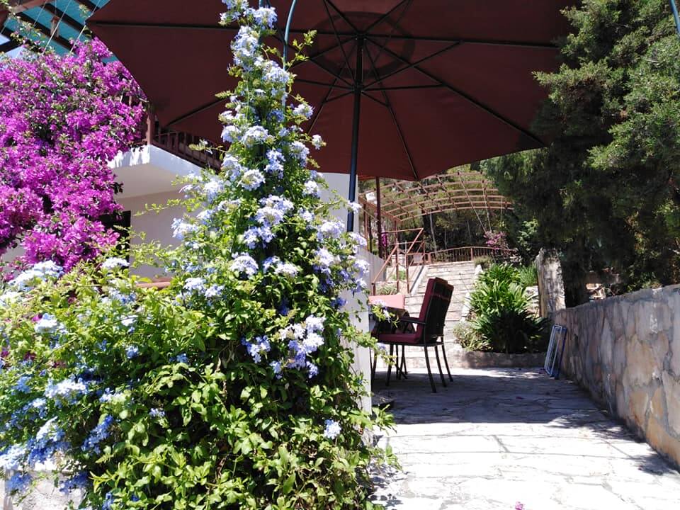 Apartment Ruža - Zavala, Hvar - Croatia