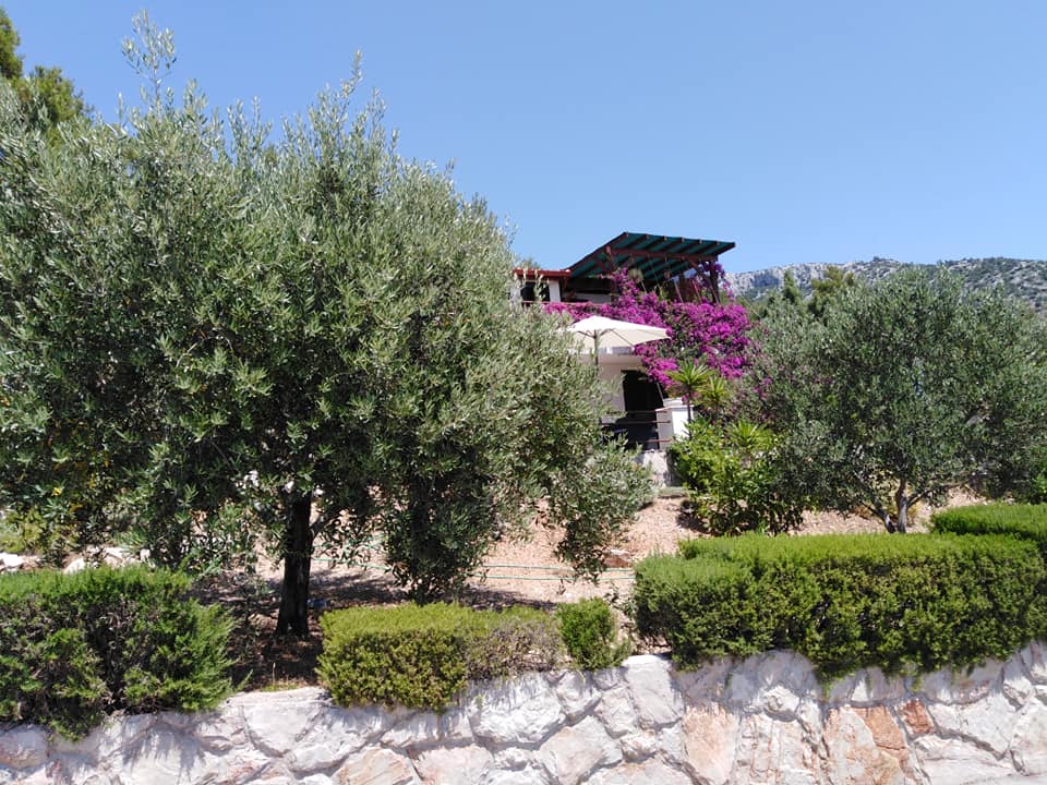 Apartment Ruža - Zavala, Hvar - Croatia